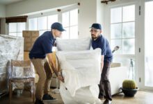 Photo of Three simple steps for eco-friendly moving company in Adelaide