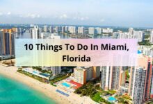 Photo of 10 Things To Do In Miami, Florida