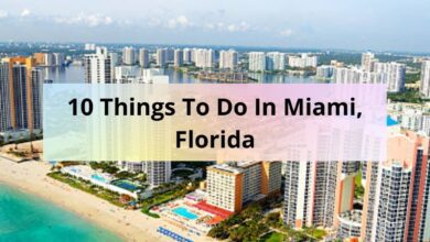 Photo of 10 Things To Do In Miami, Florida