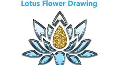 Photo of Lotus Flower Drawing Doesn’t Have To Be Hard. Read These Tips