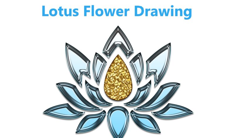 lotus flower drawing