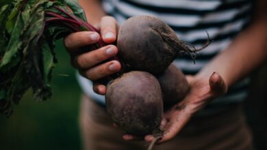 Photo of Why are Beetroots So Healthy for Men?