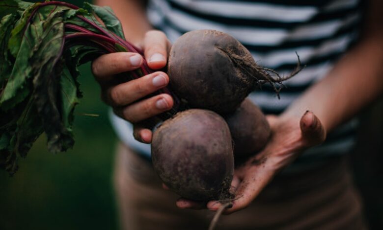 Why are Beetroots So Healthy for Men