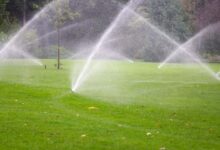 Photo of 5 Facts To Know About Sprinkler Systems Installation