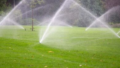 Photo of 5 Facts To Know About Sprinkler Systems Installation