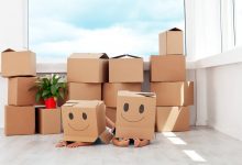 Photo of What Types of Services you Can Get from Packers and Movers in Faridabad