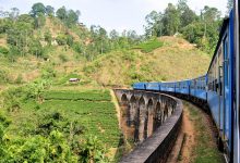 Photo of NATURAL WONDERS IN SRI LANKA