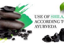 Photo of What are the Uses of Shilajit according to Ayurveda?