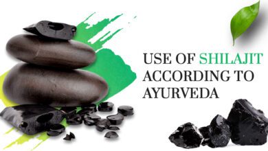 Photo of What are the Uses of Shilajit according to Ayurveda?