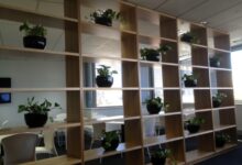 Photo of What Is The Specialization To Follow For Corporate Office Plants