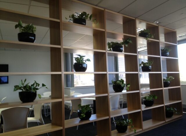 Corporate Office Plants