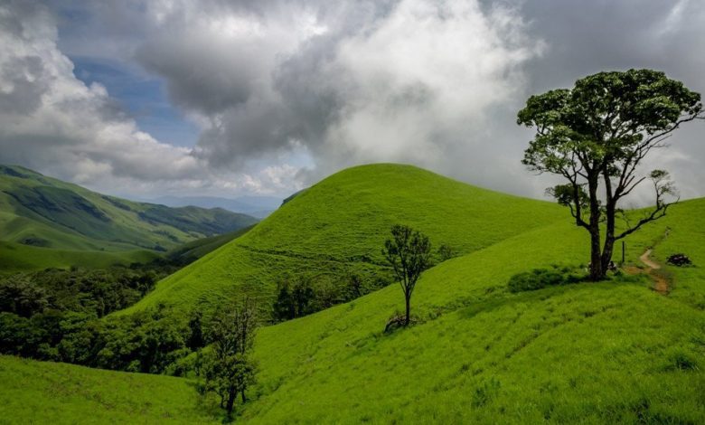 Tadiandamol Trek