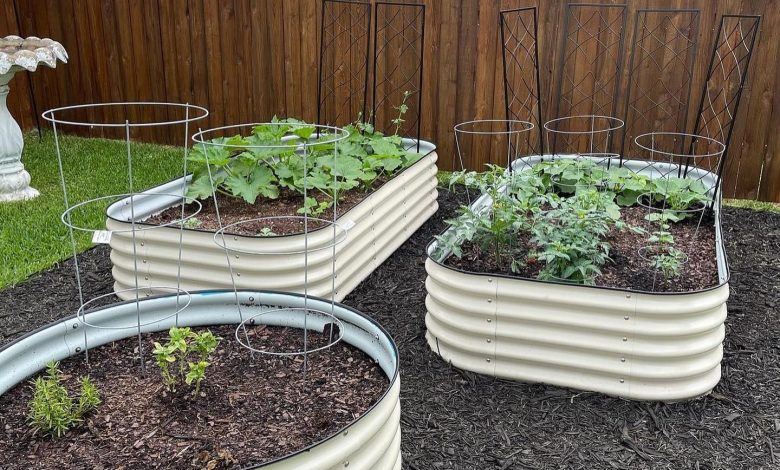 Pros and Cons of Metal Raised Beds Garden Beds