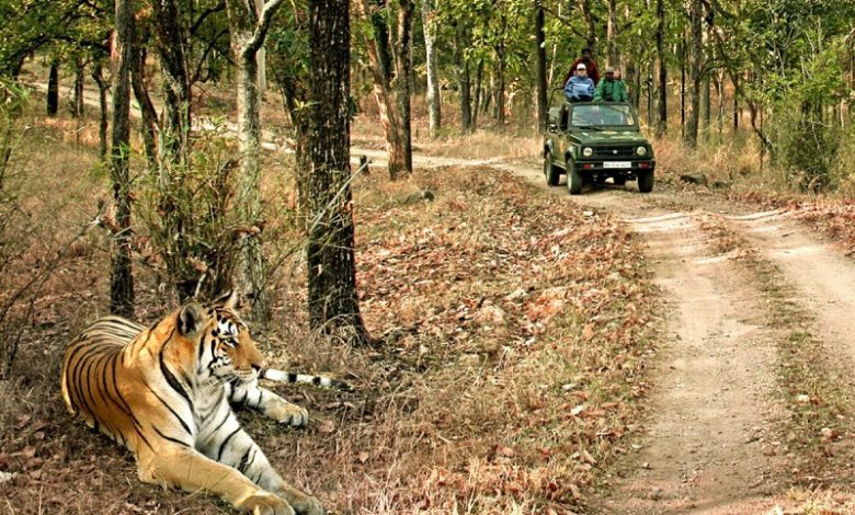 Road Trips in Rajasthan for You!