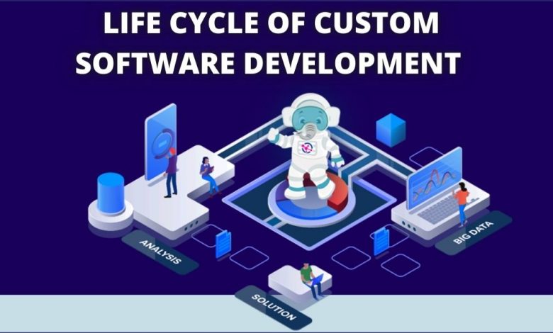 Custom Software Development Life Cycle