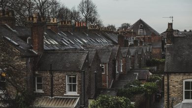 Photo of Protect Your House by Investing in the Right Type of Roof