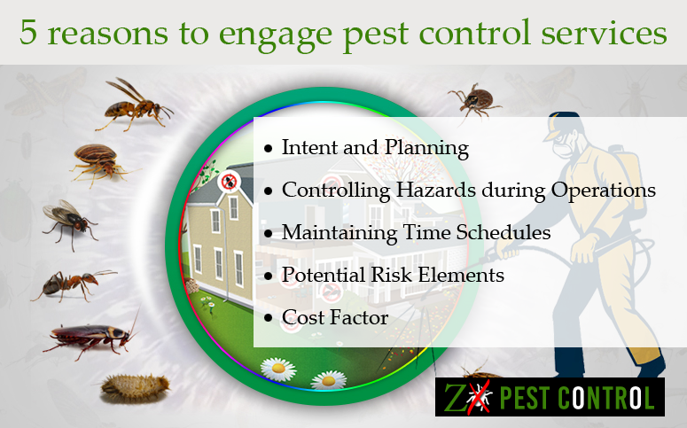 Pest Control Noida