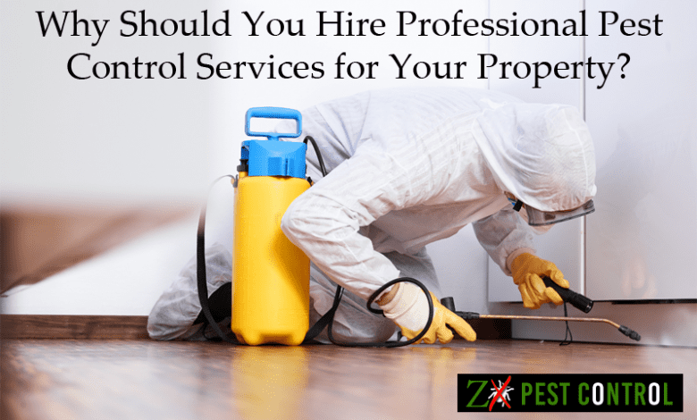 Pest Control Services Noida