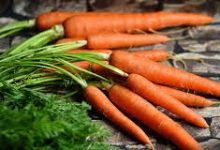 Photo of Must-know Benefits of Carrot for Health, Skin and Hair
