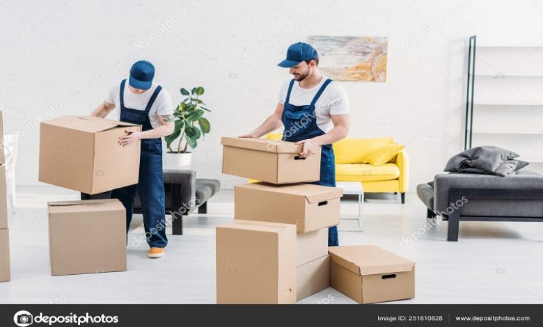 Packers and Movers in Jaipur