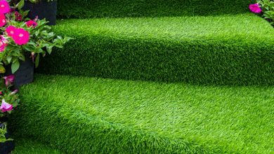 Photo of Various Fields The Artificial Grass Suppliers Melbourne Suggest You To Installing The Products 