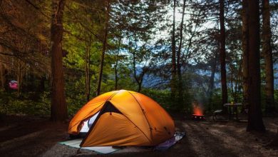 Photo of The 7 Best Campgrounds Across the USA