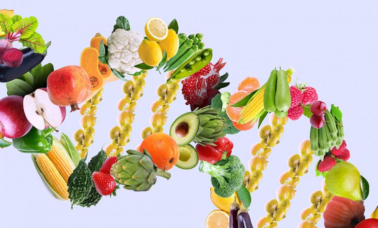 DNA Diet Testing - Is a Personalized Diet Best for Weight Loss?