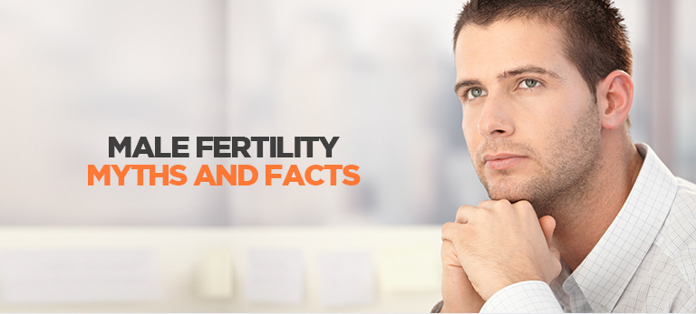 male's fertility