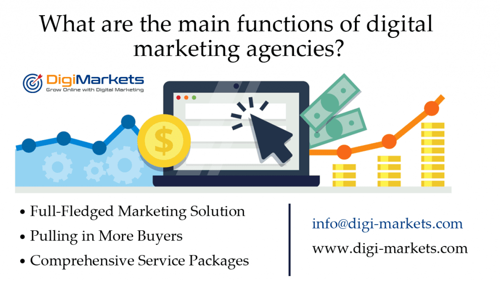 top digital marketing agency in Noida