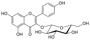 Astragalin