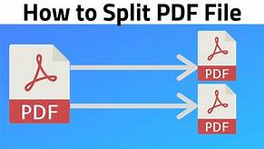 Photo of Best way to Break Large PDF into Smaller Files