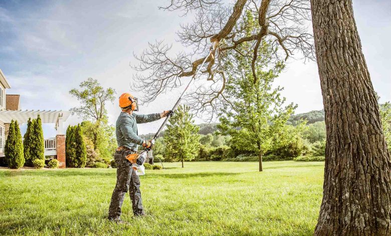 North Shore Tree Service