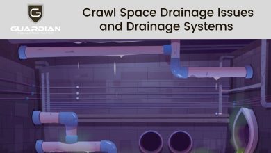 Photo of Crawl Space Drainage Issues and Drainage Systems