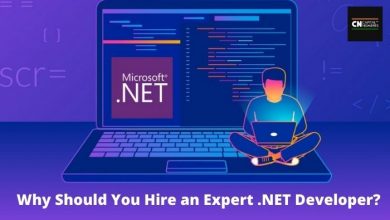 Photo of Why Should You Hire an Expert .NET Developers?
