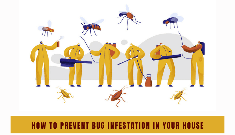 Prevent Bug Infestation in your House