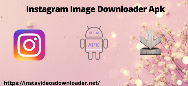 Instagram Video Download Online | instagram video online download