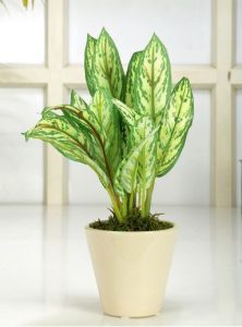 artificial plants for decoration