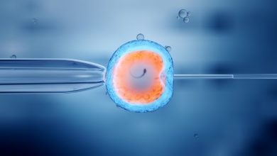 Photo of Fertilization – Everything to know