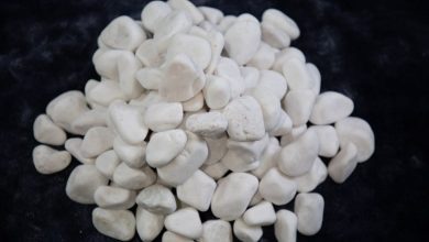 Photo of Areas Where White Pebbles Are Used And Their Benefits