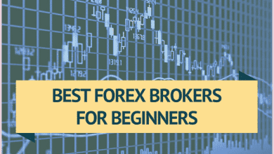 Photo of Best forex brokers for beginners