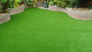 Photo of How To Choose Best Outdoor Artificial Grass In Dubai