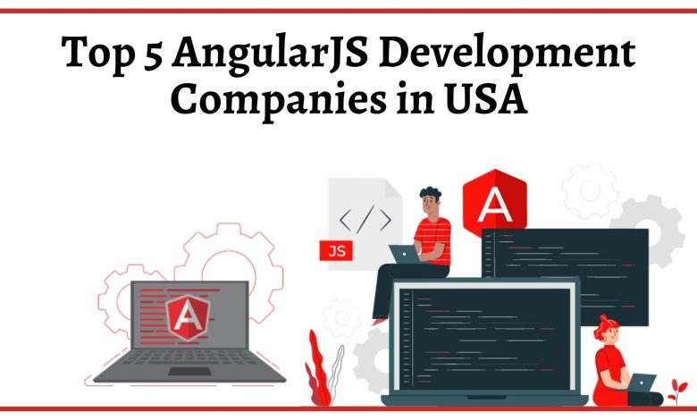 angularjs development