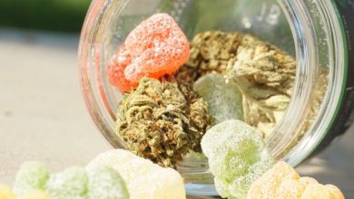 Photo of Delta 10 Edibles: 5 Things to Know About Their After Effects 