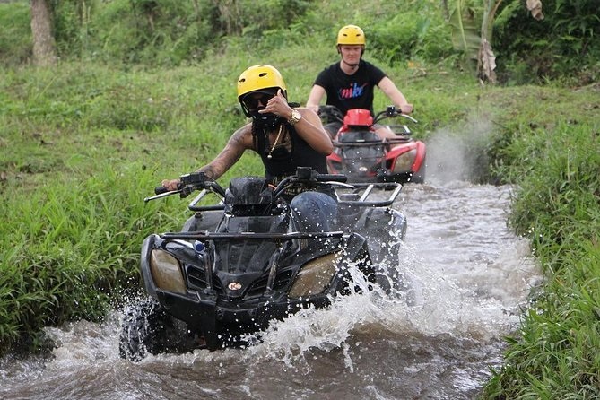 Quad Bikes