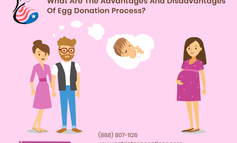 Egg Donation Requirements (featured image)