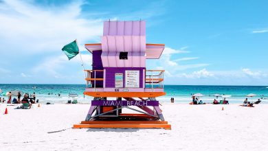 Photo of Top Attractions in Miami