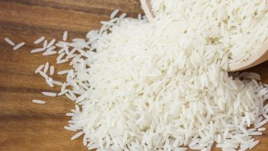 Photo of Buy Best Basmati Rice In Germany 2022