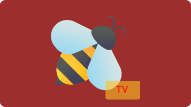 Photo of Everything You Should Know About Bee TV Roku