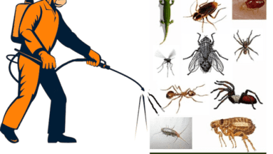 Photo of A pest control company in Bihar