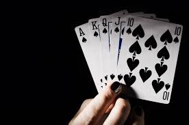 Photo of Lessons You Can Learn from Rummy to Organize Your Life